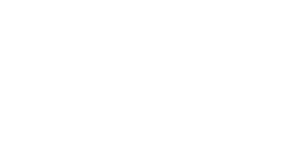 logo-denson